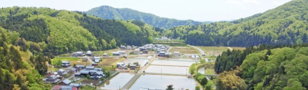 田舎