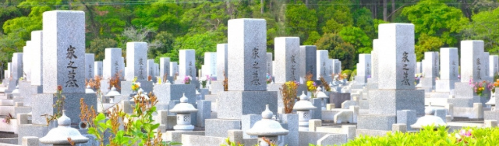 墓地